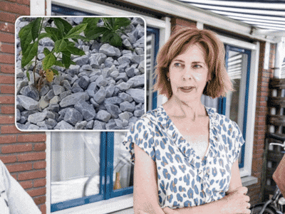 Grind in Silvia’s tuin beweegt onder haar voeten: iets graaft zich een weg naar boven, en dat is nie