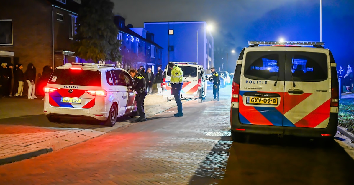 Waarschuwingsschot gelost bij aanhouding na steekincident in Rozenburg