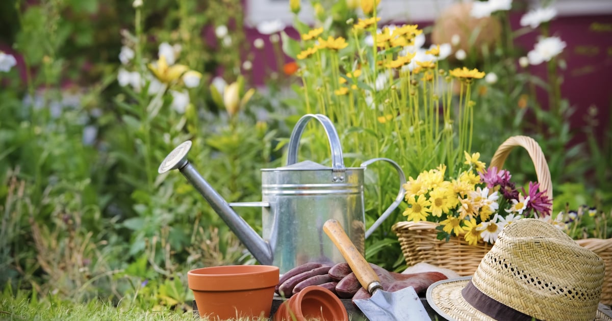 Nieuwe buurttuin in Boxmeer-Noord zoekt tuingereedschap