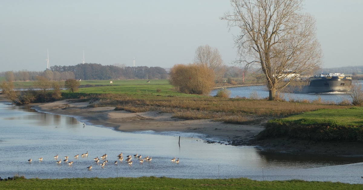 Inloopavond over geplande natuurontwikkeling uiterwaarden tussen Jaarsveld en Klaphek