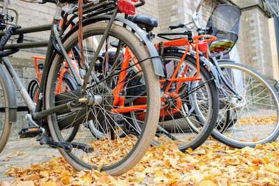 Image related to the article