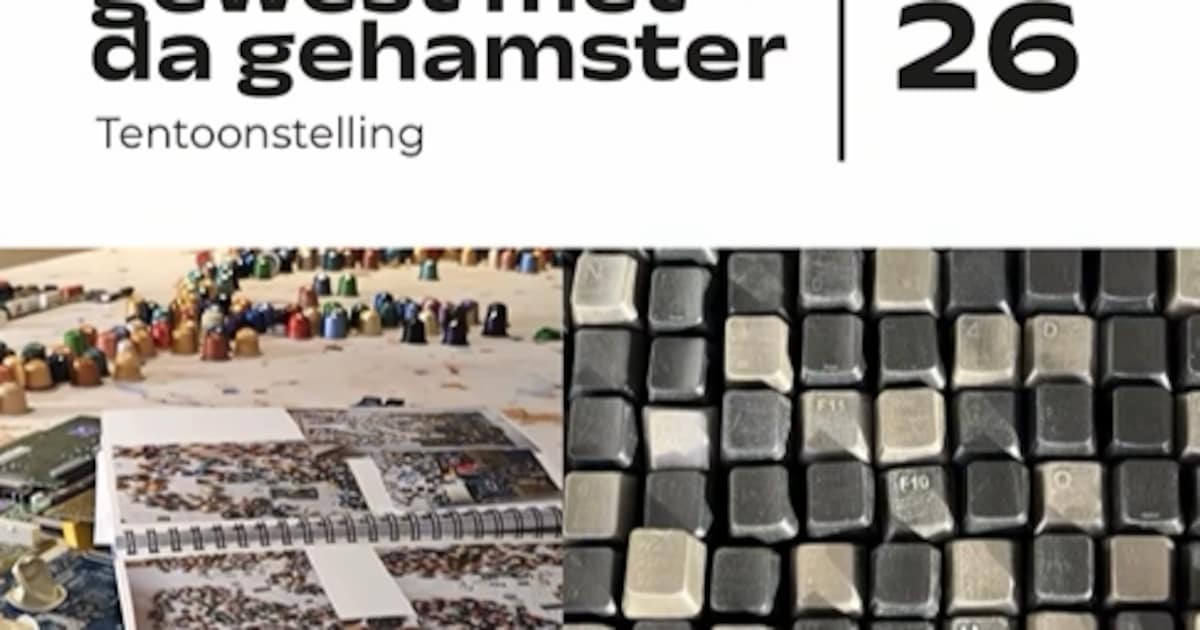 Kunst van afval doet nadenken over consumptie: zes cursisten exposeren bij Studio Sharon in Weelde