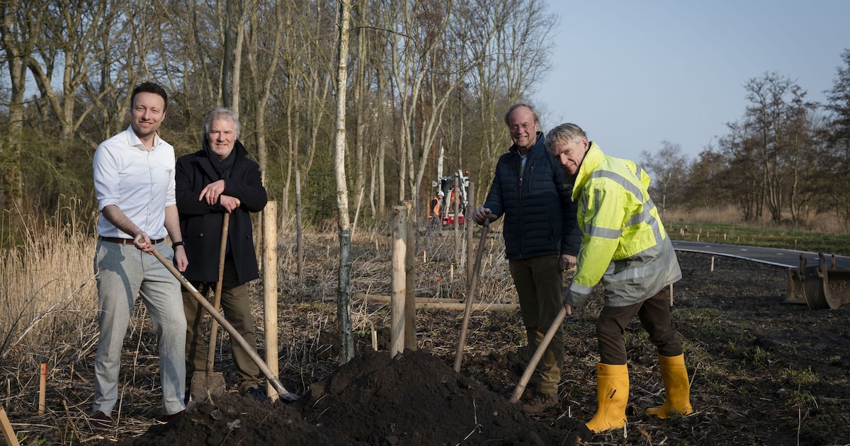 Park in Vlaardingen krijgt meer bomen na terugkeer groen