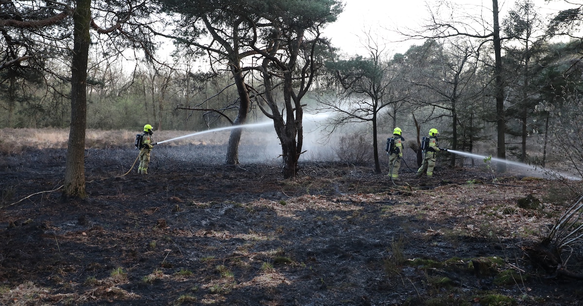 Flinke brand op hei in Barneveld: politie vermoedt brandstichting
