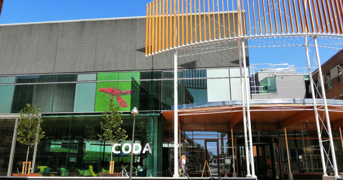 CODA Apeldoorn komt met tentoonstelling over 'verval en veerkracht'