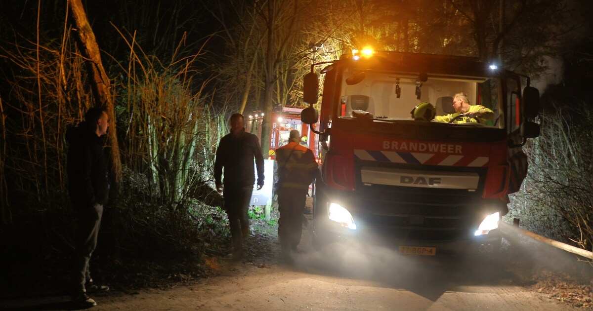 Apen omgekomen bij brand in dierentuin ZooParc in Overloon