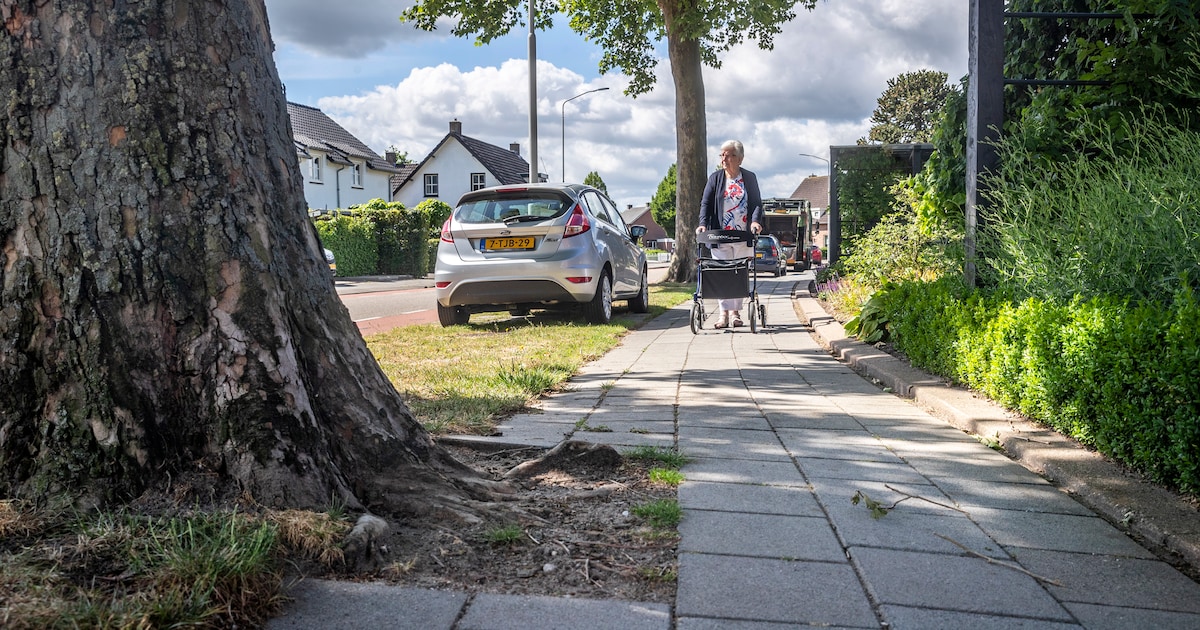 Ouderen wandelen langs nieuw beweegpark in Reeuwijk-Brug