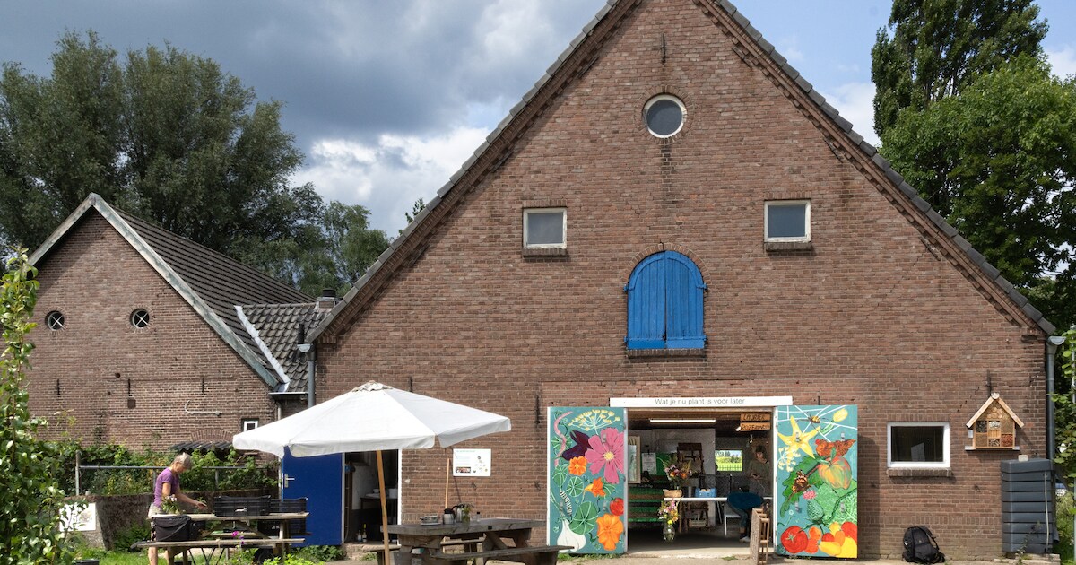Plantjesmarkt bij tuinderij Bodemliefde in Giesbeek
