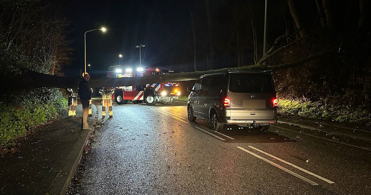 Boom valt op rijdende auto in Hoensbroek