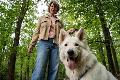 Kitty (58) wandelt al jaren met Odin los door het Orderbos, nu stuit ze op een nieuw hek: ‘Er blijft