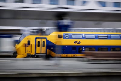 Geen treinen tussen Den Haag en Rotterdam door dier op het spoor