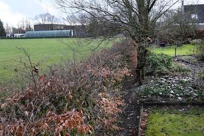 Image related to the article