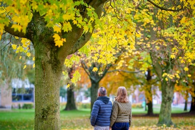 Image related to the article