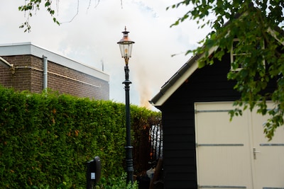 Conifeer in brand door onkruidwieden in Velp