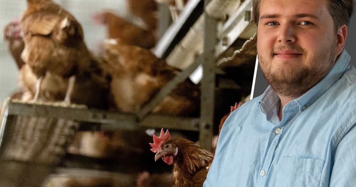 Is het niet beter om de 217 pluimveebedrijven in Barneveld over heel Nederland te verspreiden?