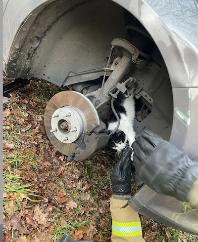 Bestuurder hoort vreemd geluid uit zijn auto komen in Vinkel en doet opvallende ontdekking onder de 