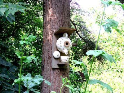 Image related to the article