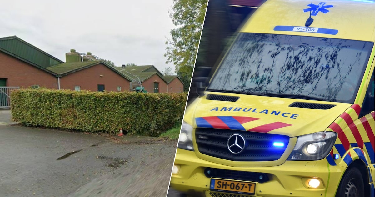 Jongen (15) die overleed bij val van boerenstal komt uit regio Ede