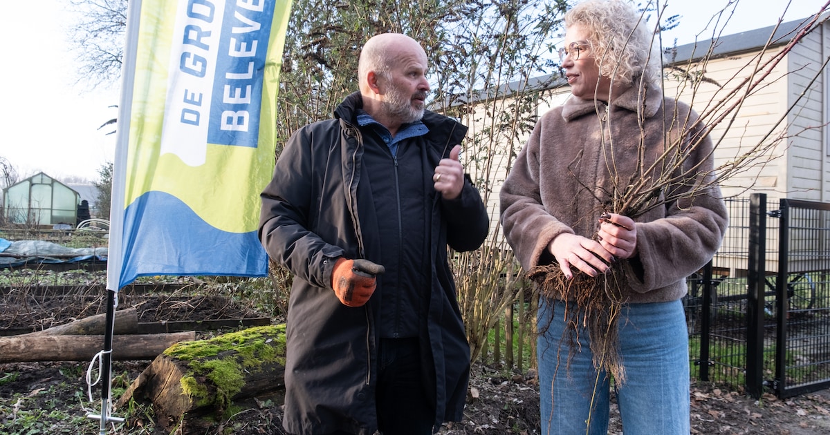 Duizend vogelbosjes uitgedeeld in Leusden: ‘Samen voor zorgen dat er meer groen komt’