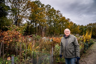 Buurvrouw zou stiekem honderden bomen kappen maar ze weet zelf van niets: ‘Wat een roddelaars’