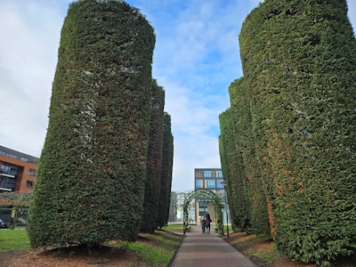 Nieuw leven in oude bieb, spelen in een ‘vergeten’ park en tal van bouwplannen in hartje Helmond