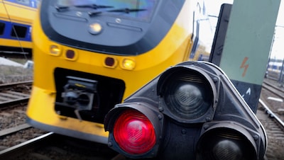 Geen treinen tussen Boxtel en Best door aanrijding met kudde reeën