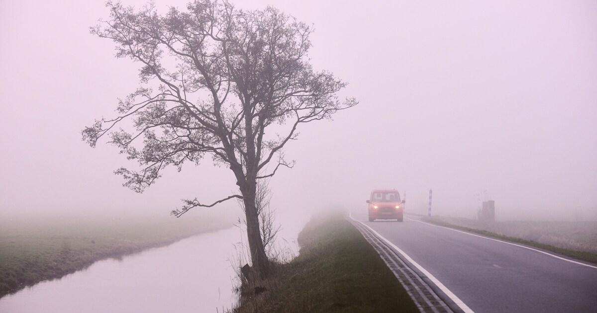 KNMI: code geel wegens dichte mist in groot deel van het land | Nieuws ...