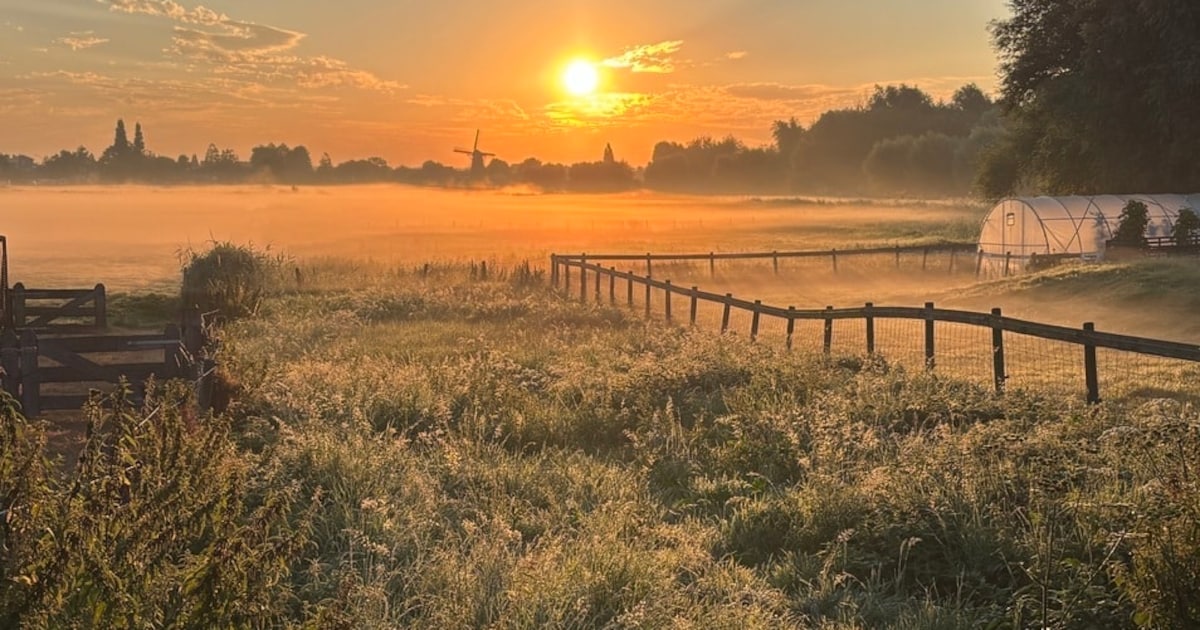 Wedstrijd gaat van start: gemeente Pijnacker-Nootdorp zoekt mooiste herfstfoto