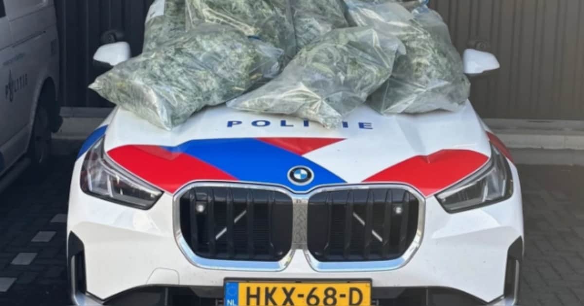 Hennepplanten ontdekt in woning Purmerend