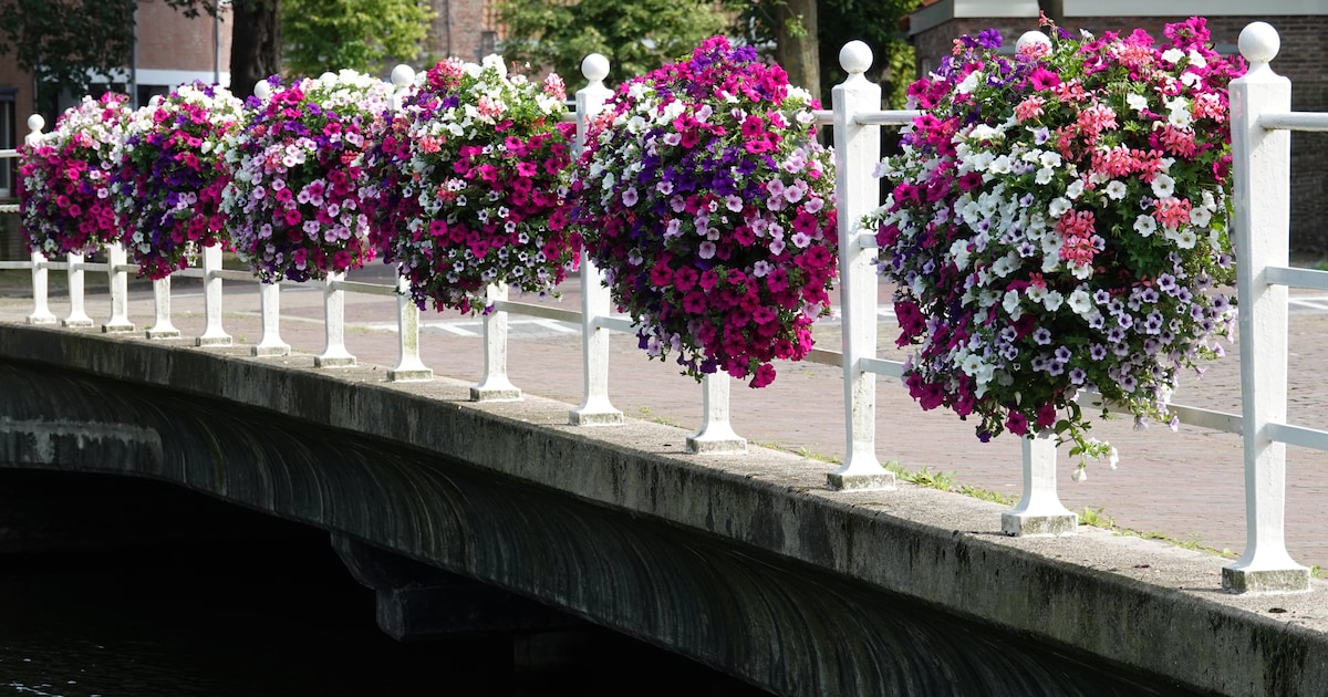 Zes bruggen in Valkenswaard krijgen komende weken een onderhoudsbeurt