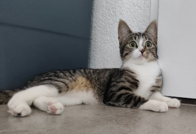 Image related to the article