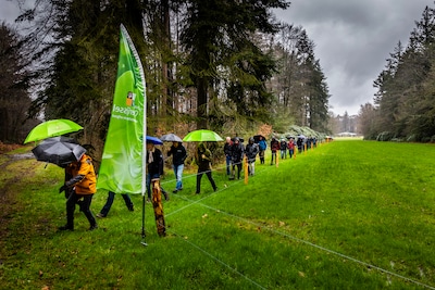 Image related to the article