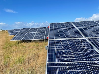 Image related to the article