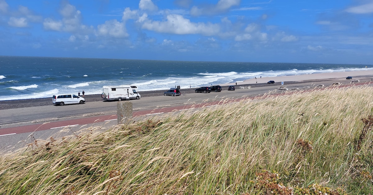 Olie spoelt aan op meer stranden in Zeeland: gebied groter dan eerder bekend