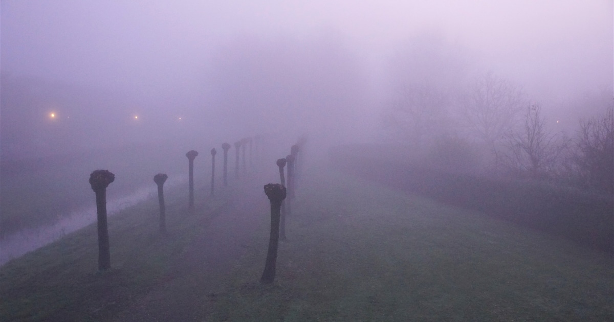 Wolken met lokaal kans op mist, weinig ruimte voor opklaringen. in Raalte in de nacht