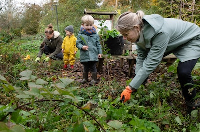 Voedselbos in Leiden wordt deel van ecologisch innovatieproject