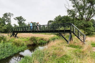Natuurmonumenten knapt Loondermolenpad op door afkalvende oevers en een actieve bever