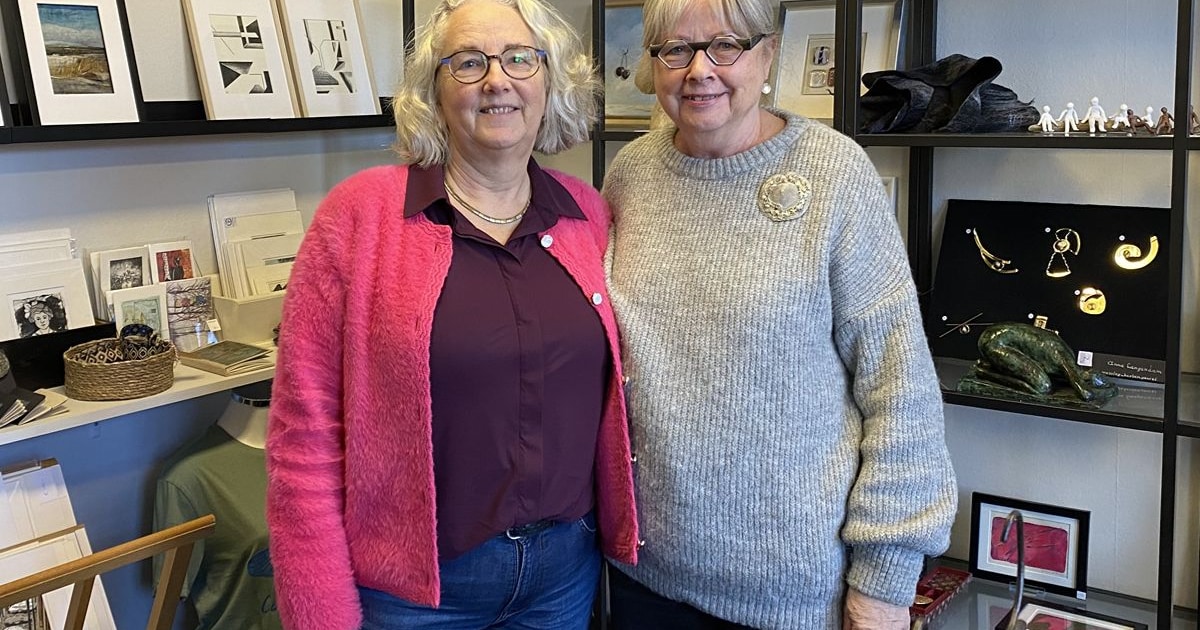 Deze verborgen winkel in Almelo heeft kunst voor een klein prijsje