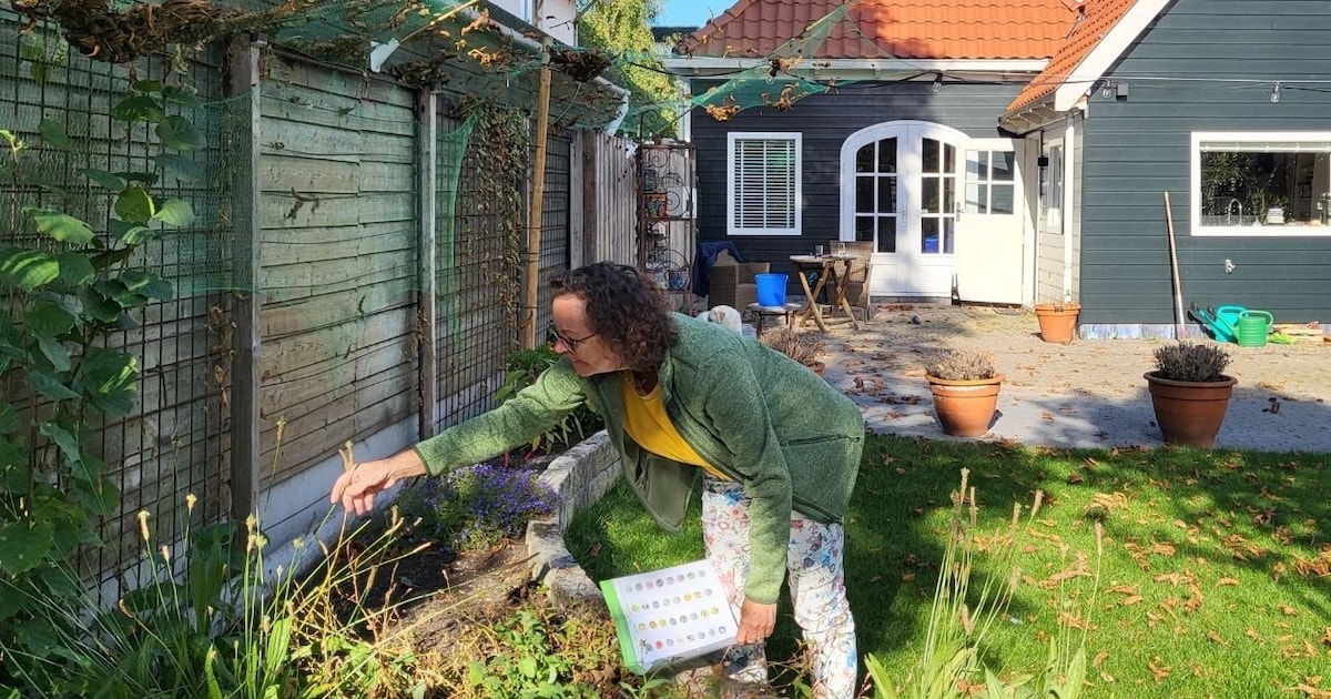 Vraag tuinadvies aan in de gemeente Kaag en Braassem en win een biologisch bloembollenpakket