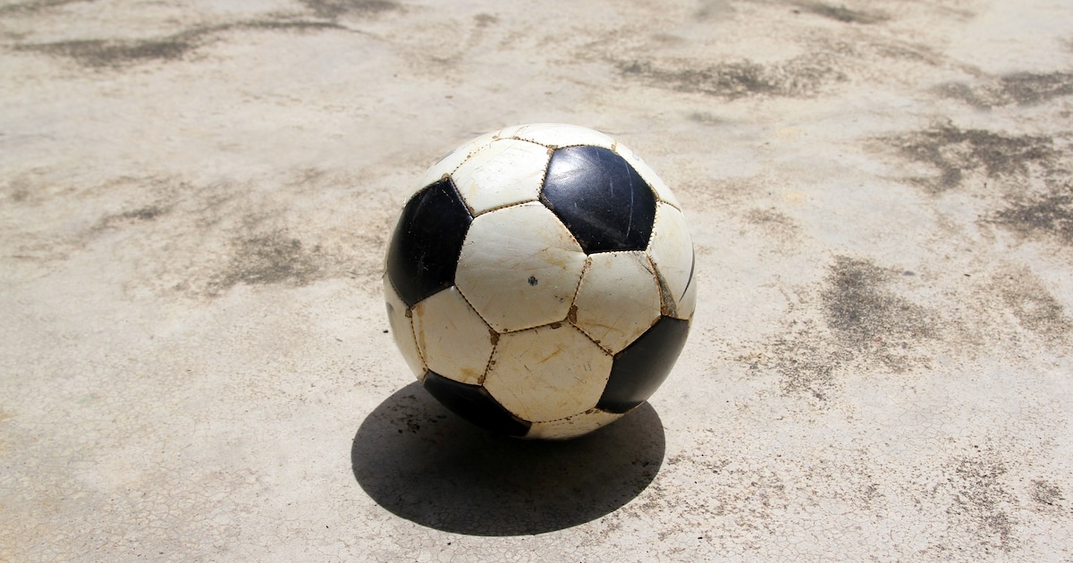 Nieuwe pannakooi geopend in Netersel dankzij initiatief kinderen