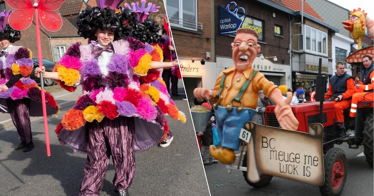 Carnaval in regio Antwerpen: in deze 5 gemeenten trekt een stoet door de straten