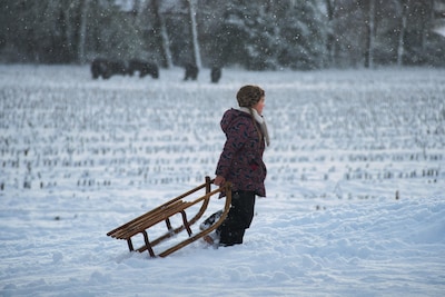 Image related to the article