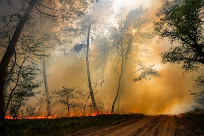 Image related to the article