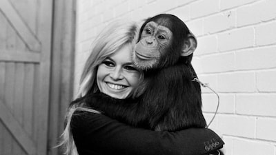 Echtgenoot Brigitte Bardot kwaad over veiling van haar ondergoed: ‘Belediging voor haar nalatenschap’