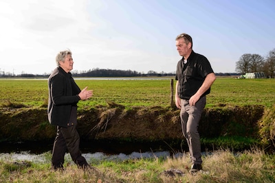 Image related to the article