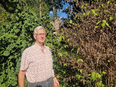 Image related to the article
