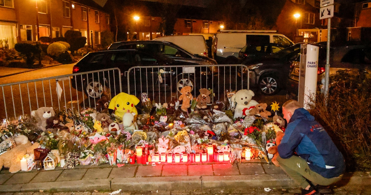 Twee willekeurige slachtoffers op klaarlichte dag doodgestoken; in 2025 kwamen in regio Utrecht 9 me