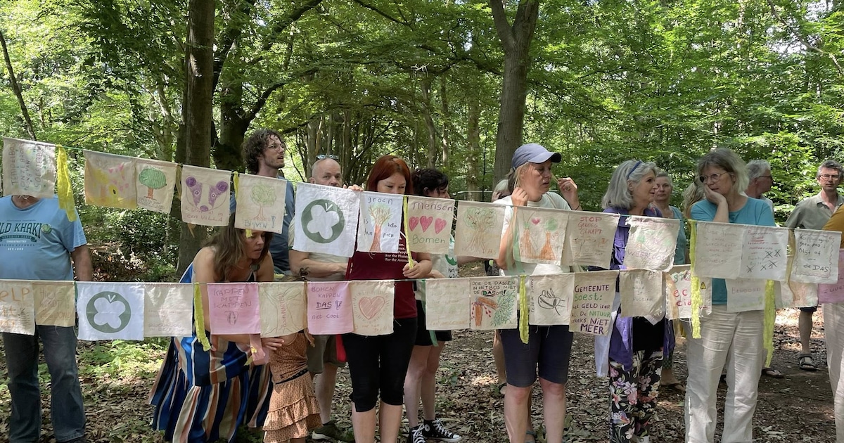 Soest 2002 is het beu: ‘Ik daag jullie uit te stoppen met protest tegen plan voor Oude Tempelbos’