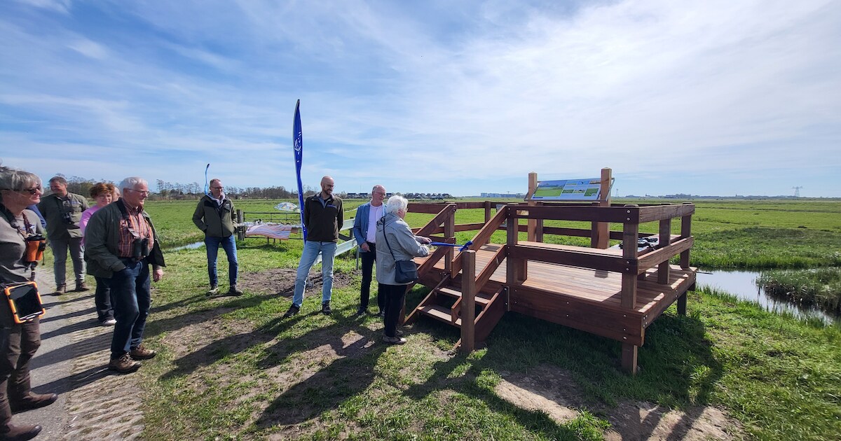 Nieuw uitkijkplatform geeft andere blik op veenweidegebied bij Zwartsluis