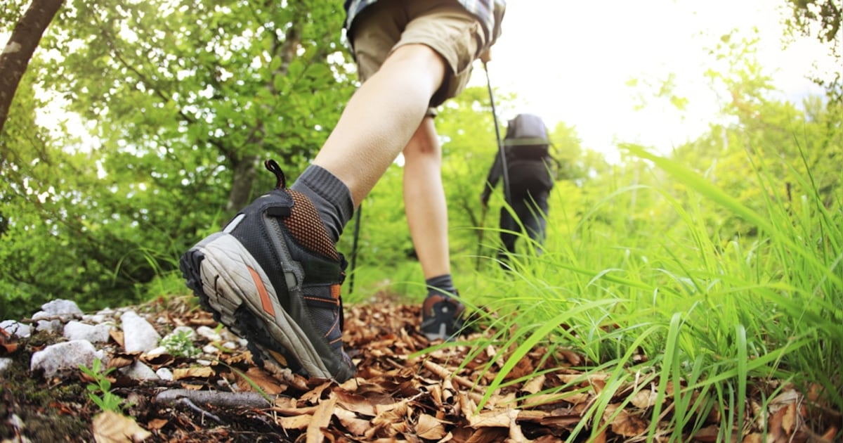 Senioren verkennen natuur rond Asten tijdens IVN-wandeling
